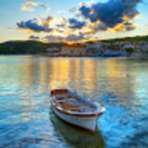 Meet your Posher, Timothy